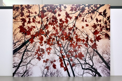 Wandbild aludibond mit acryl - wandbild,