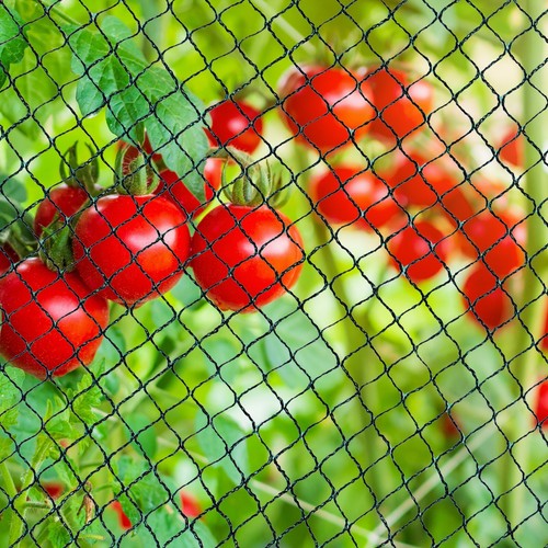 Obstbaumnetz gartennetz - obstbaumnetz,