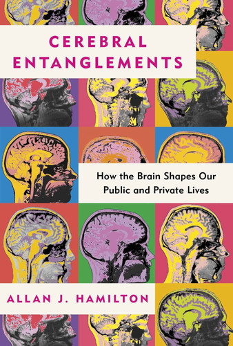 Cerebral entanglements how - entanglements,