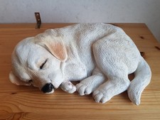 💖schlafender Hund Welpe