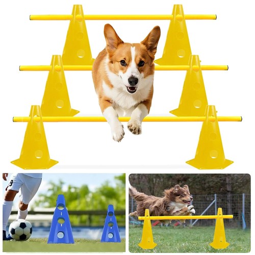Hunde agility set - hunde,
