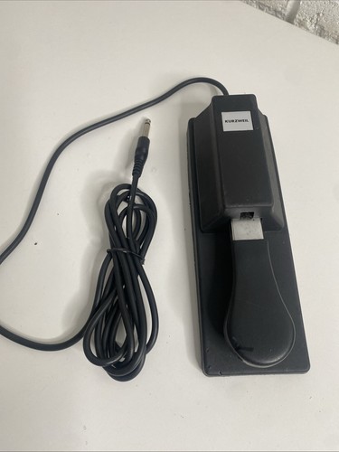 Untested kurzweil - is,