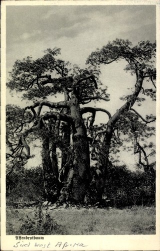 Namibia süd west afrika - süd,