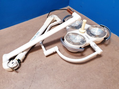 Hanaulux 2003 - , op-
