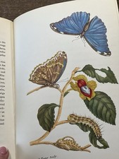 Buch maria sibylla merian - buch,