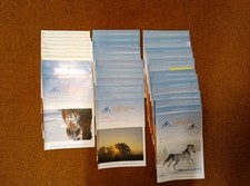 39x tellington magazin 2016 - tellington,