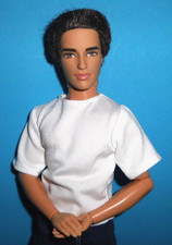 %***Barbie Ken Ryan