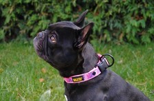 Outlet Halsband 25mm Tarn Pink