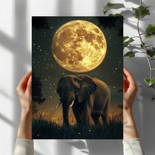 Elefant bei Vollmond Premium
