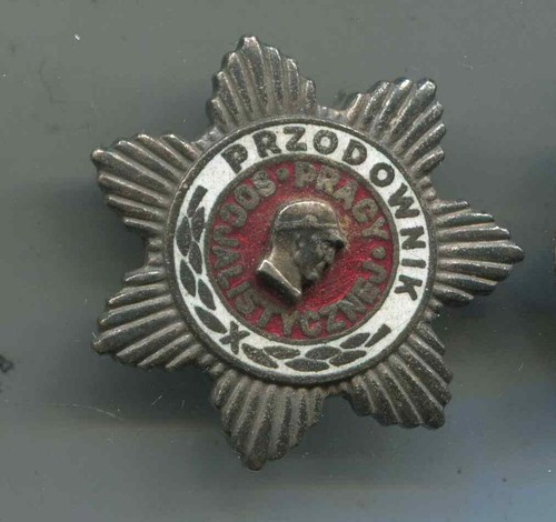 Polen medaille aktivist der - medaille,