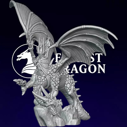 Hochelfen held auf drachen - held,