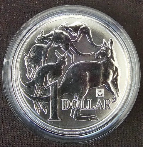 Silber känguru 2019 - 1,
