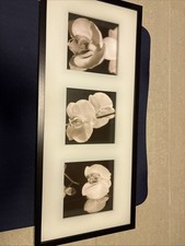 Wunderschönes Bild in schwarz