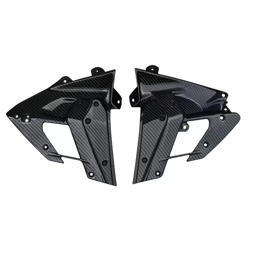 Carbon bugspoiler für ducati - bugspoiler,
