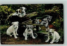 12086312 - Fuenf Rassehunde Welpen in einer Spielzeug Kutsche - tucks AK Serie