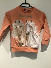 Schöner Pferde Pullover in Gr. 116 von Miss Melody