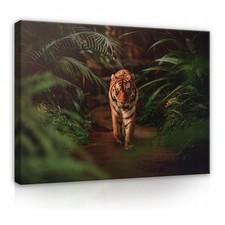 Leinwand Tier Tiger Dschungel