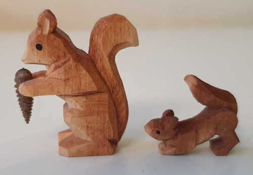 Eichhörnchen mit jungem - eichhörnchen, jungem,