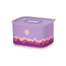 Tupperware Baseline - Quadro