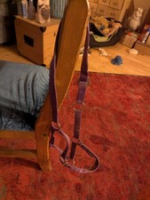 Halfter Lila Größe Warmblut