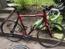 Simplon Pride 1 Carbon rot, 61er