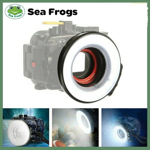 Seafrogs 108 unterwasser - seafrogs,