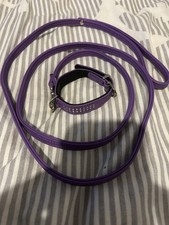 Hunde Set Halsband + Leine In