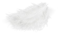 Meyco Marabu Federn in weiss 17 Stück circa 10 bis 12cm lang