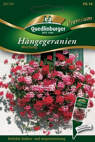 Hänge geranien mischung samen - hänge-geranien,