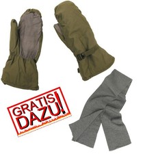 BW Winter Fausthandschuhe