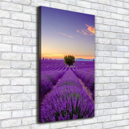 Leinwand bild kunstdruck - leinwand-bild,