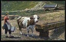 Ansichtskarte Almbäuerin mit Melkschemel und Milcheimer neben der Kuh 