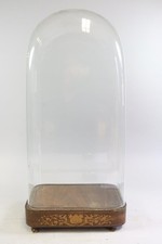 64cm Glassturz Glasdom mit furniertem Holzsockel 19.Jhd (MVL4743)