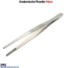 Medizinische Anatomische