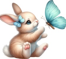 10x rabbit and butterfly