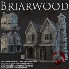Dark Realms Briarwood Shop 1