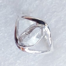 Rarität ring echter natur - ring,