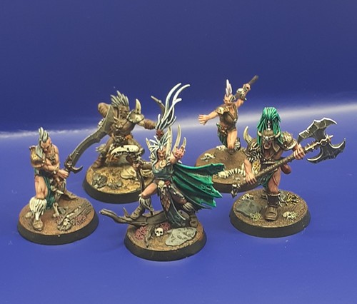 Warcry godsworn hunt warhammer - warcry,