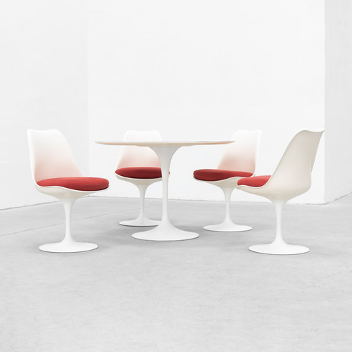 Original knoll tulip tulpen - /,