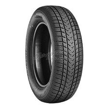 Winterreifen Gripmax 245/45