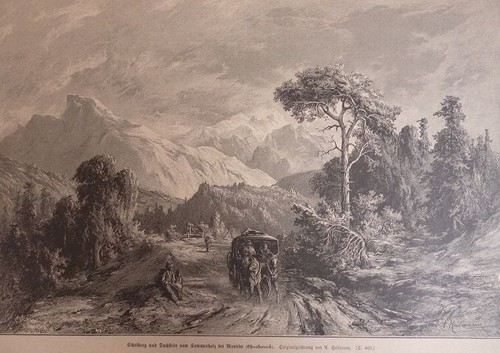 Original holzstich schafberg - holzstich,