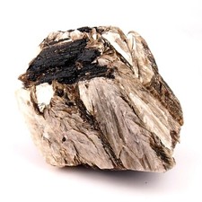 Gold Mica Stufe Ø 195 mm