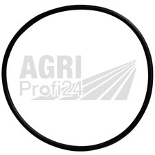 Dichtring Einspritzpumpe für