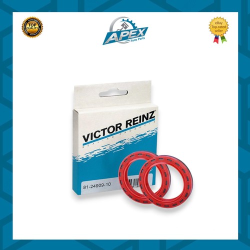 Victor reinz 24909 10 - victor, 81-24909-10