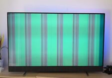 Philips 55PUS8804 55 Zoll