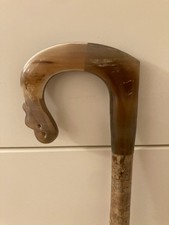 OX Horn Gehstock mit