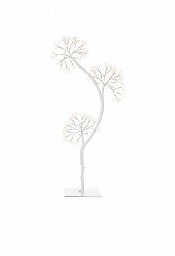 Lumida casa xxl - casa, baum