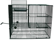 Vogelfalle Massenfang mit