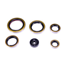 Motor Simmering Satz für KTM EXC 250 300 / SX 250 300