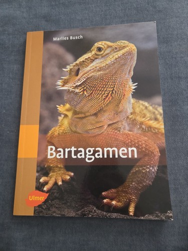 Bartagamen marlies busch - bartagamen,